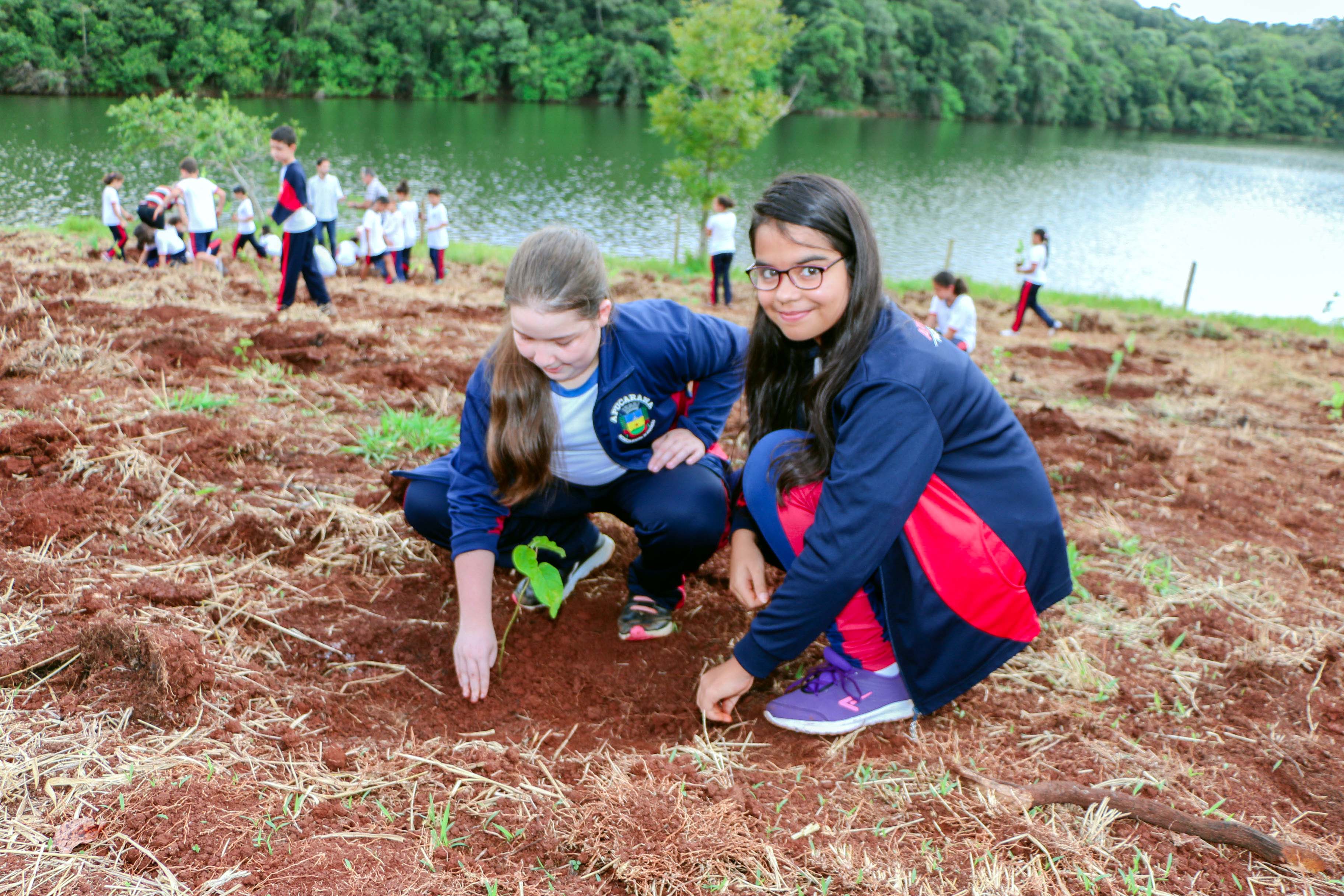 Alunos da rede municipal plantam árvores no entorno do Parque da Raposa