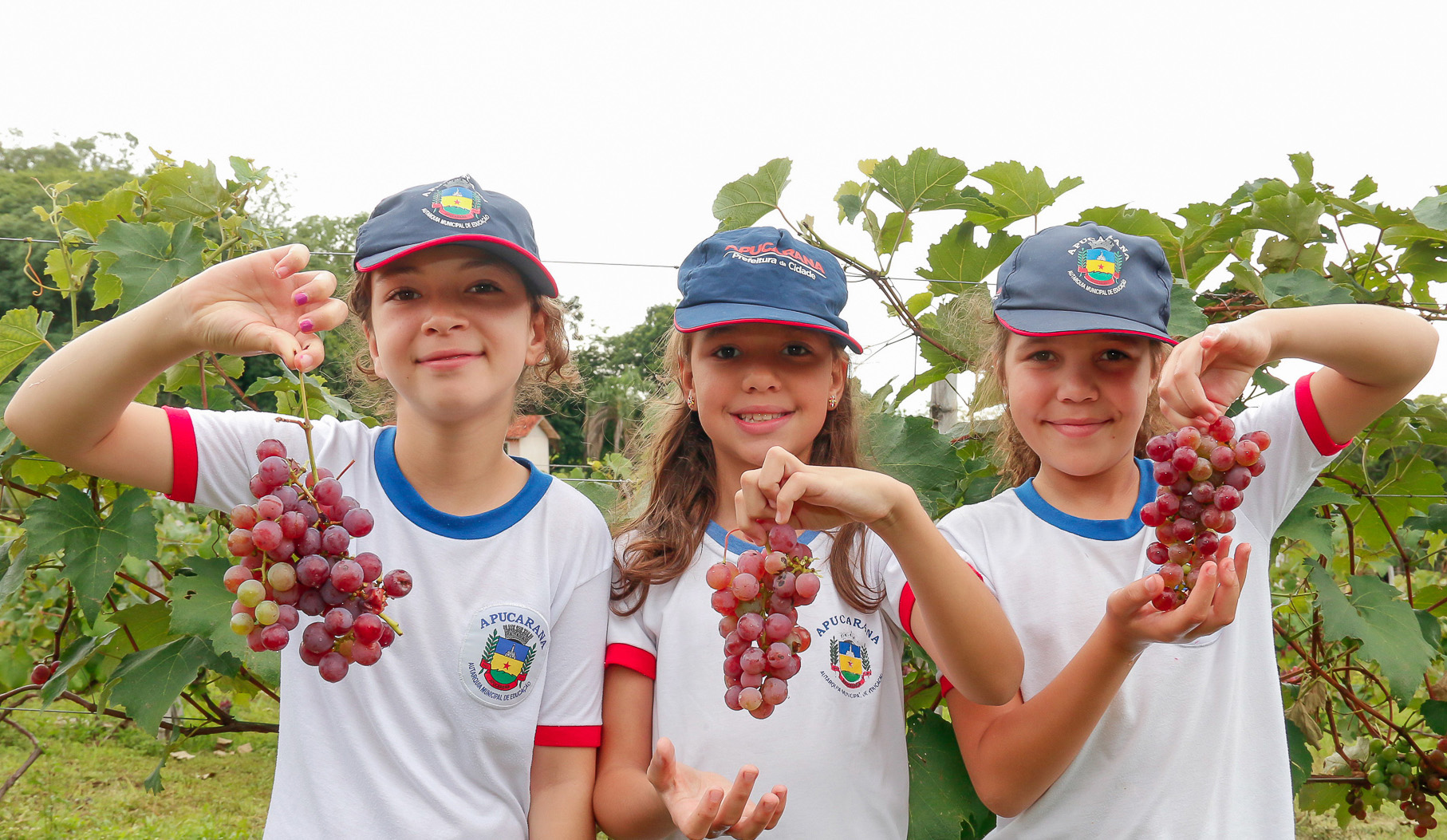 Cardápios da alimentação escolar para o mês de março