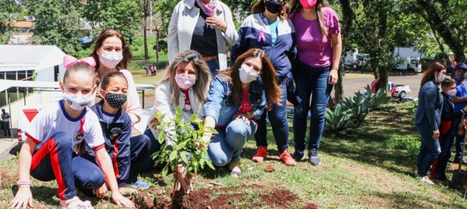 Autarquia de Educação conscientiza professores e alunos sobre a importância da prevenção ao câncer