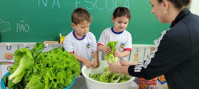 Autarquia Municipal de Educação divulga cardápios da merenda escolar para o mês de maio
