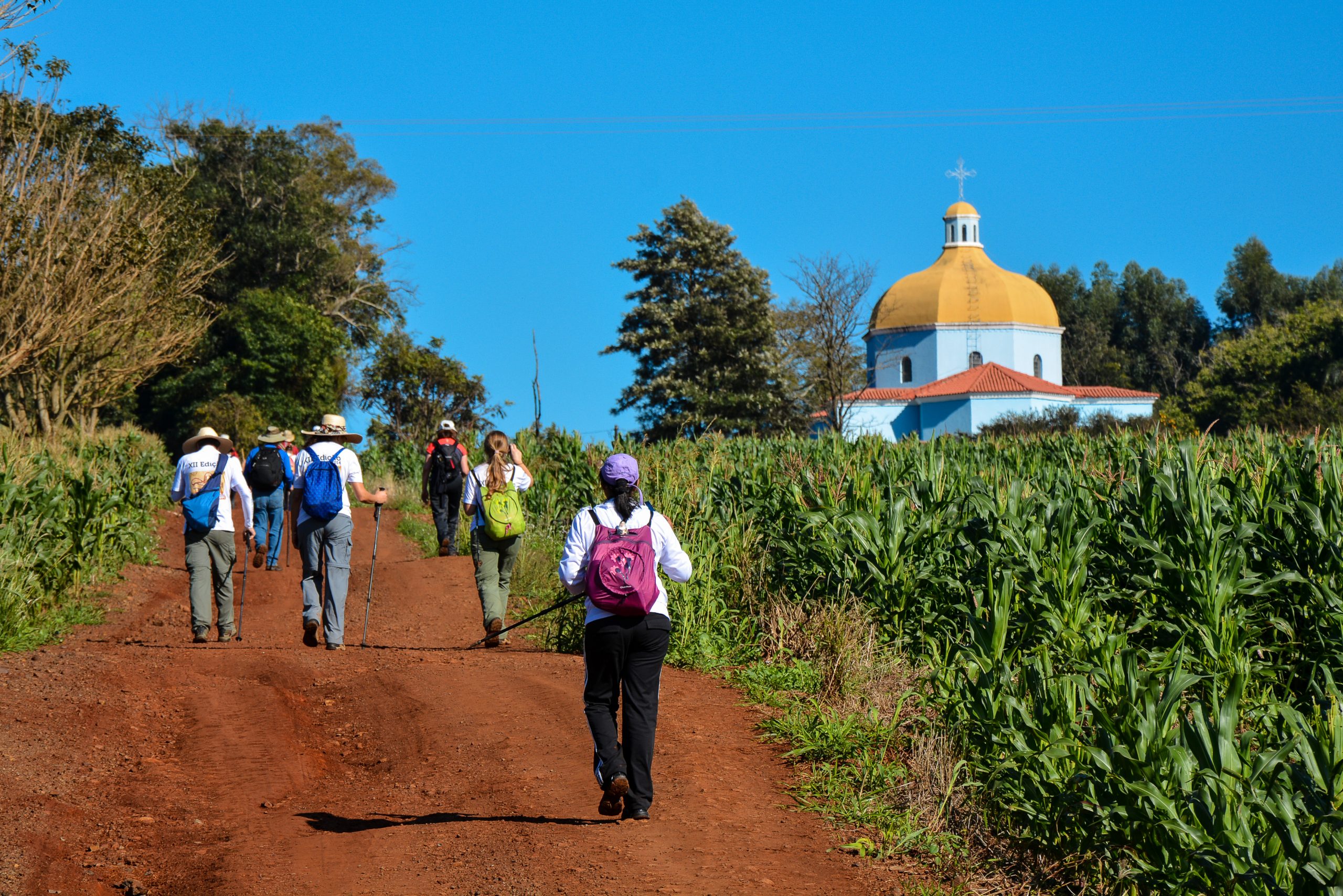 Muriel de Souza Godoi AMADOR 169