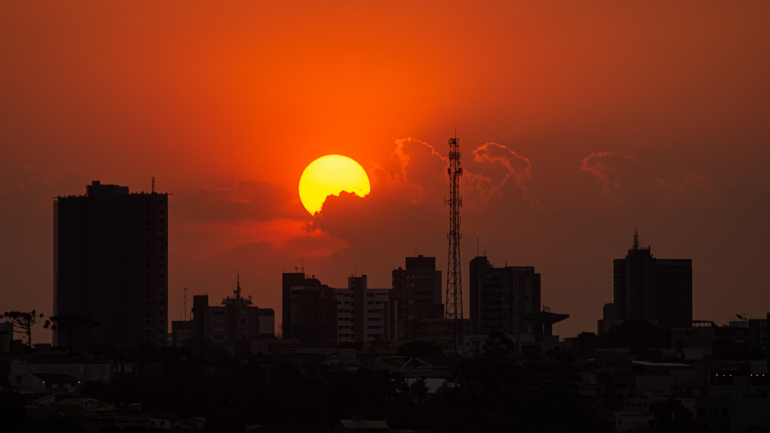 Muriel de Souza Godoi AMADOR 171