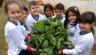 Educação Ambiental - Projeto Sementes do Futuro 49