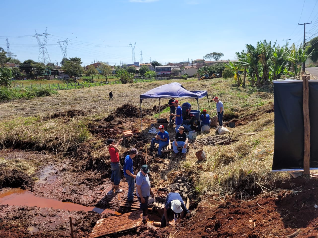 Comprar Dom gratuito de 2023 nova corrida profissional a cara