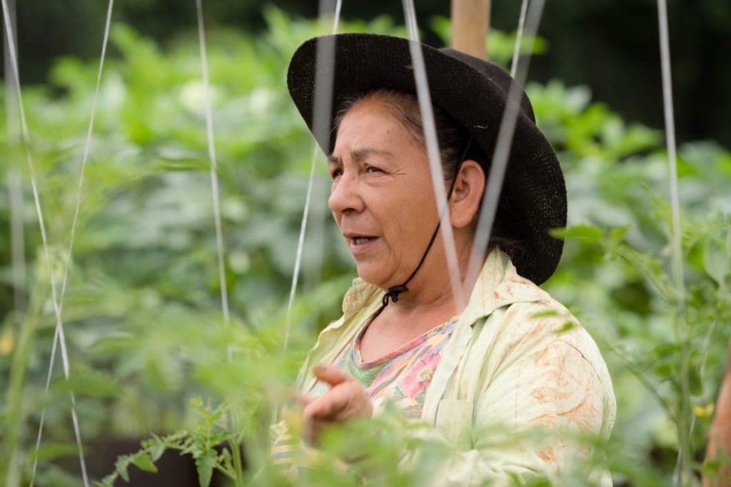 WhatsApp Image 2023-12-01 at 10.27.16 (1)