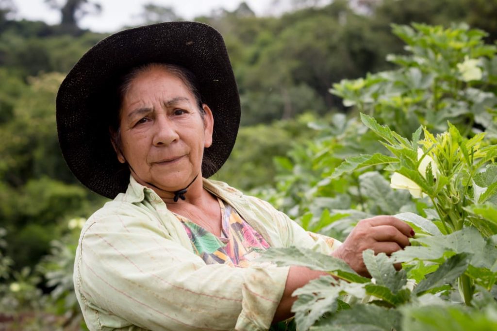 WhatsApp Image 2023-12-01 at 10.27.16