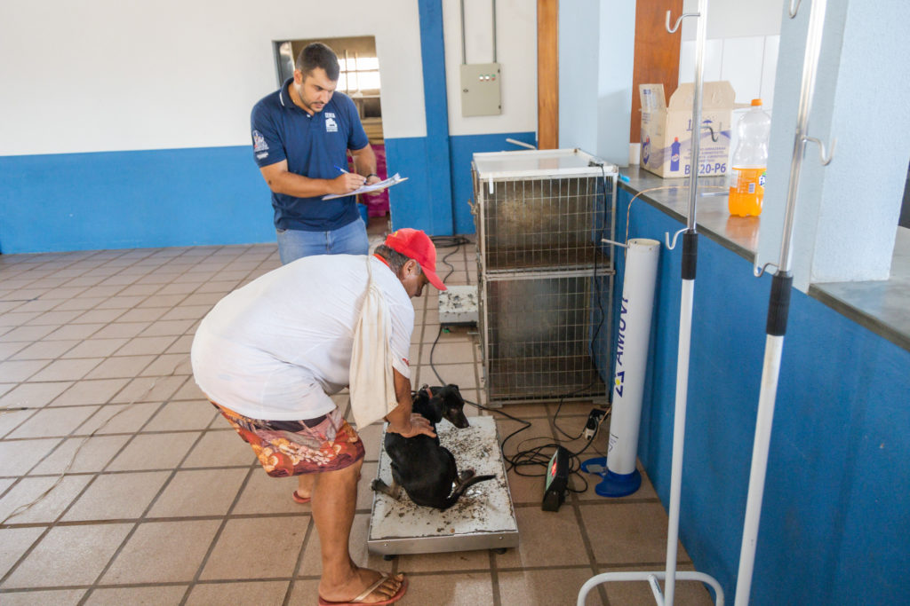 Castração Vila Reis 007