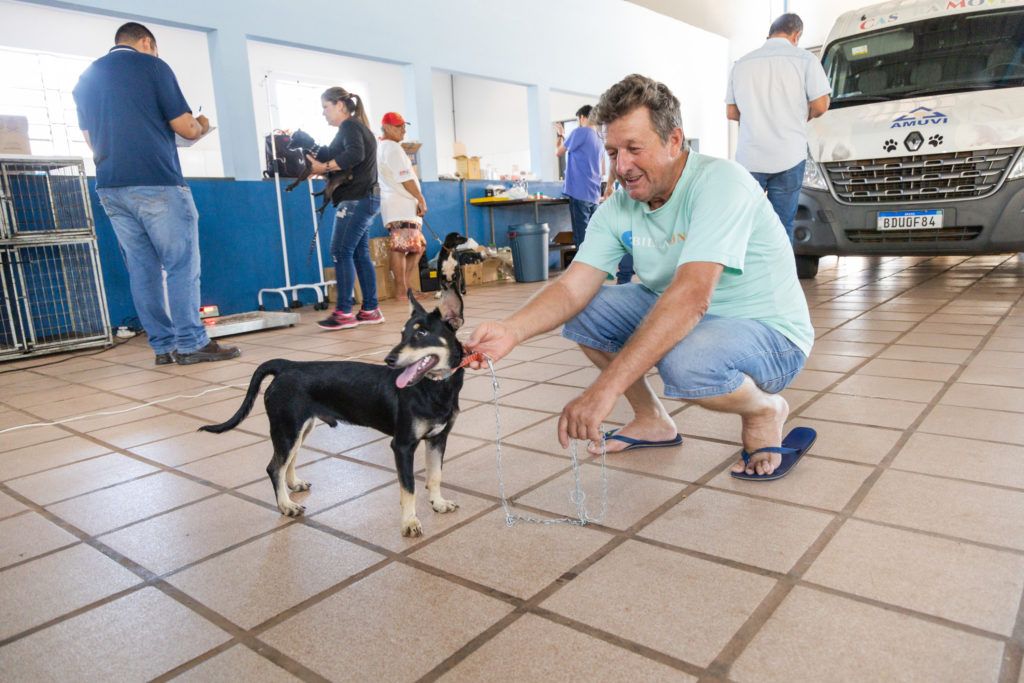 Castração Vila Reis 008