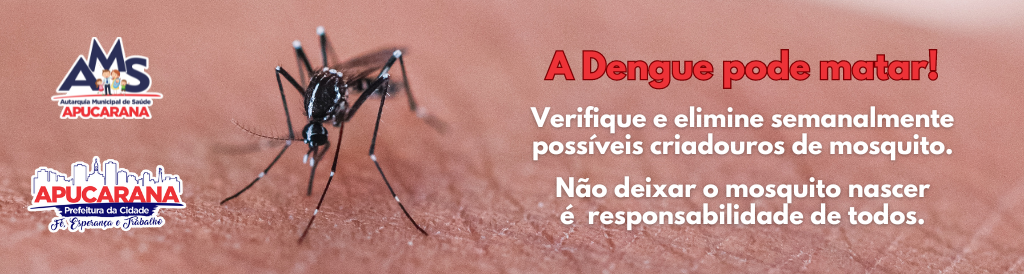 carrossel-dengue
