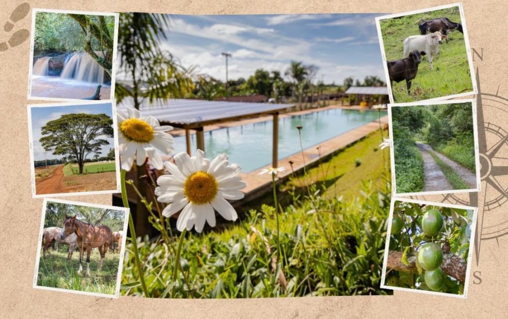 WhatsApp Image 2024-03-27 at 10.42.44