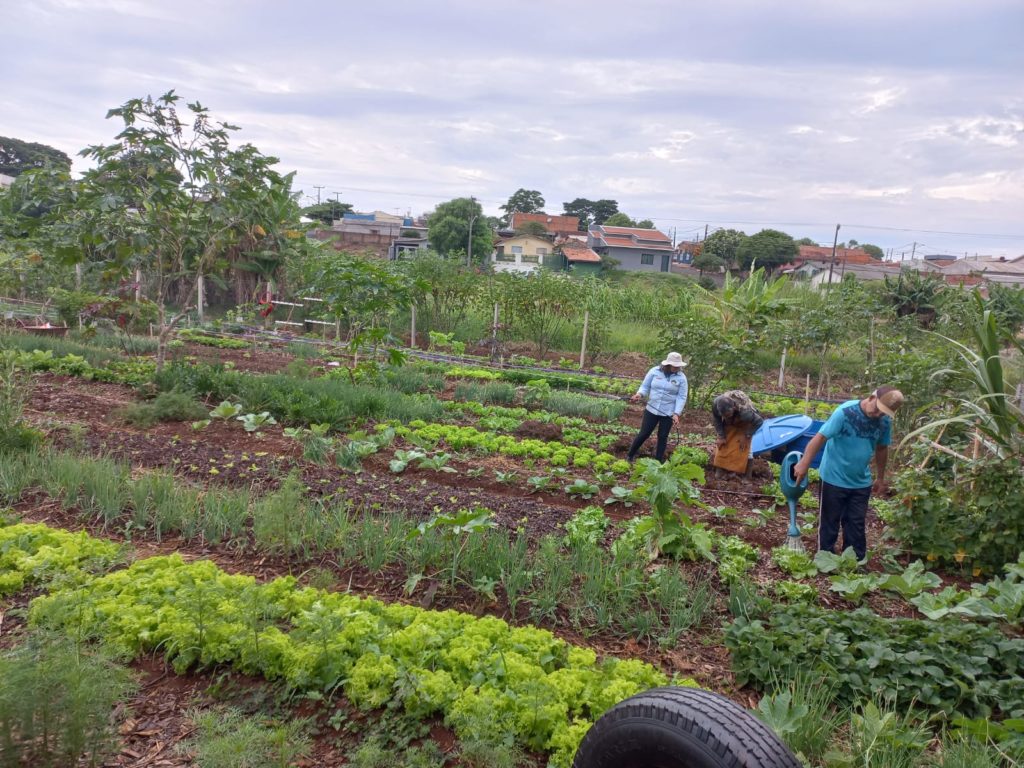 WhatsApp Image 2024-04-02 at 09.43.49 (1)