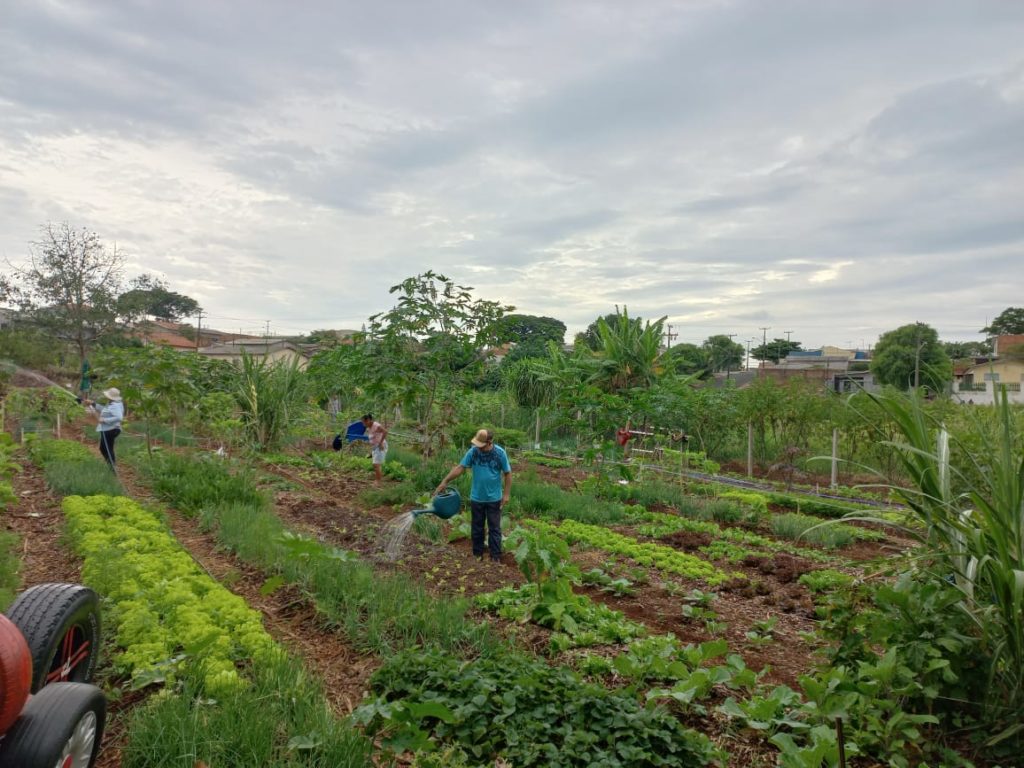 WhatsApp Image 2024-04-02 at 09.43.49