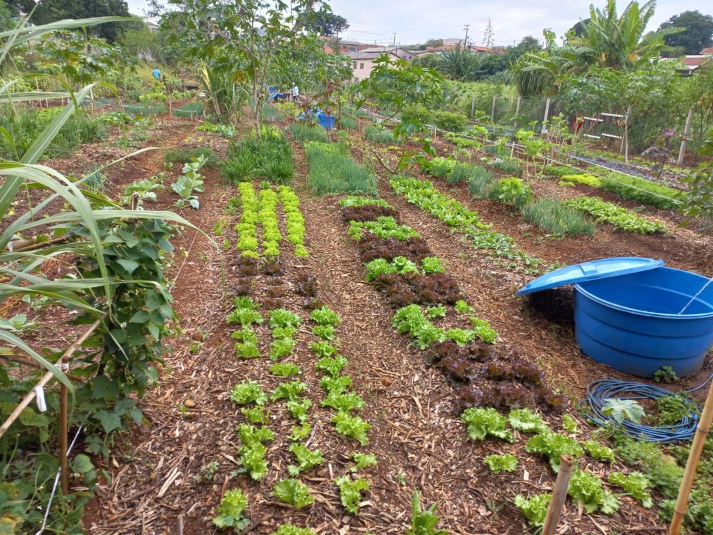 WhatsApp Image 2024-04-02 at 09.43.50 (1)