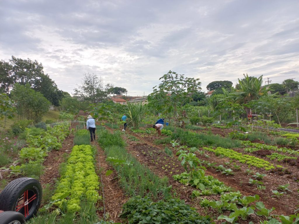 WhatsApp Image 2024-04-02 at 09.43.50