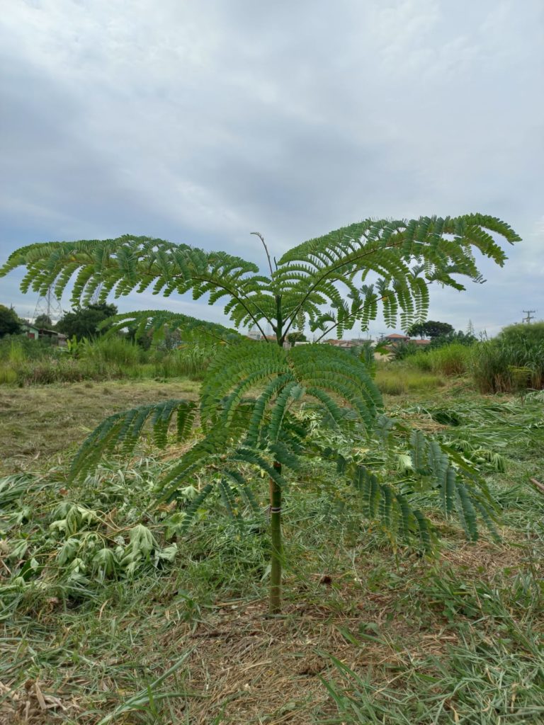 WhatsApp Image 2024-04-02 at 09.43.51 (1)