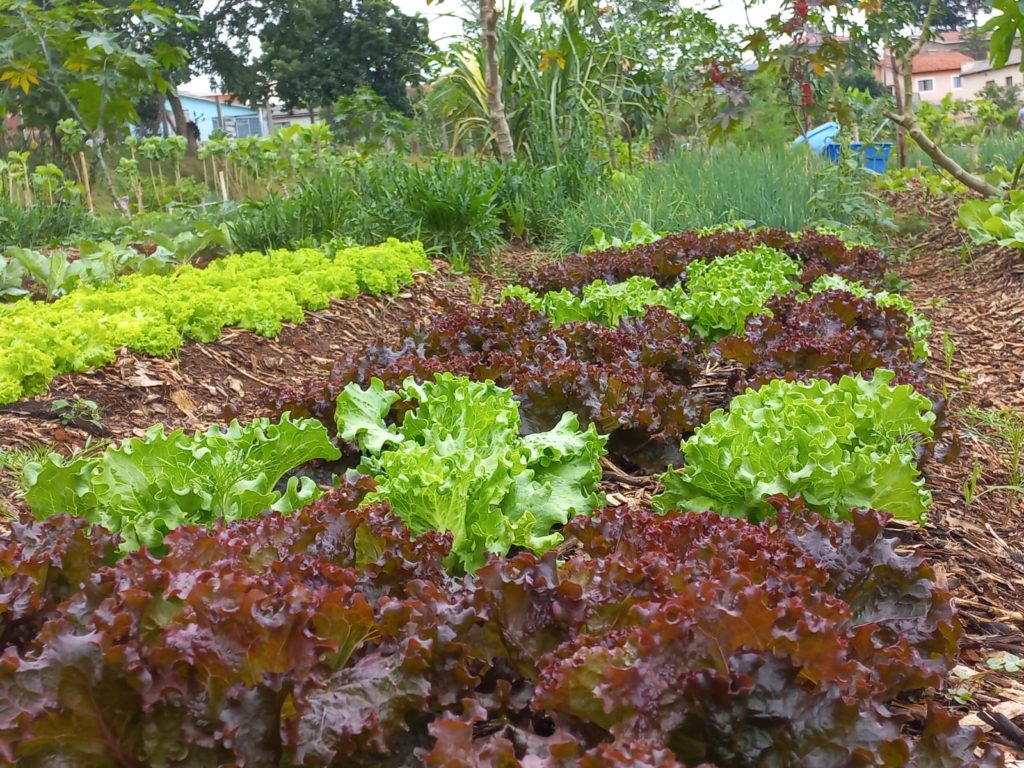 WhatsApp Image 2024-04-02 at 09.43.51