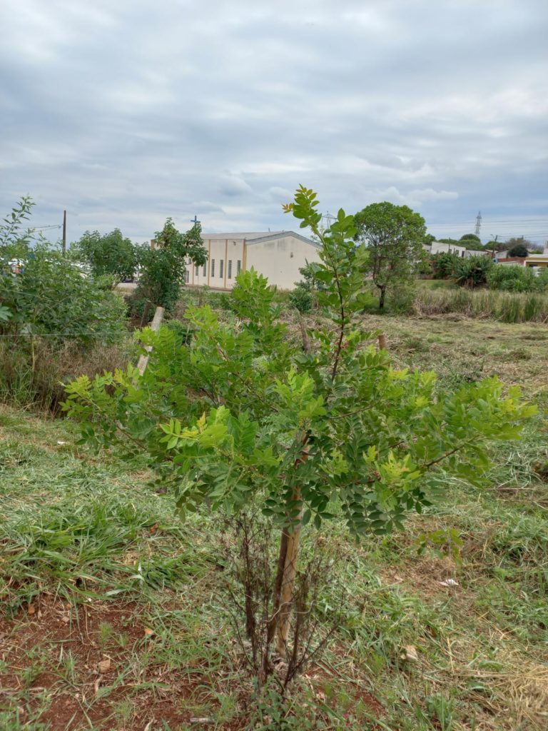 WhatsApp Image 2024-04-02 at 09.43.51 (2)