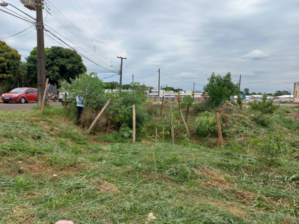 WhatsApp Image 2024-04-02 at 09.43.51 (3)