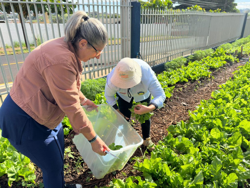 WhatsApp Image 2024-04-23 at 10.42.26