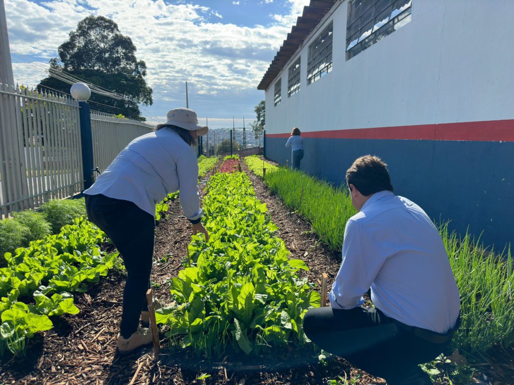 WhatsApp Image 2024-04-23 at 10.42.27