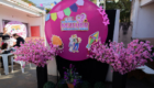 Arraia das Mulheres (75)