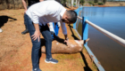 capivara morta p.q da raposa (10)