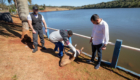 capivara morta p.q da raposa (13)