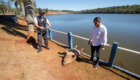 capivara morta p.q da raposa (14)