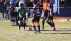 IMG_4537 - Copia (2)