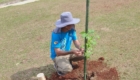 limpeza e plantio Parque da Raposa (10)