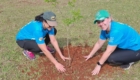 limpeza e plantio Parque da Raposa (15)