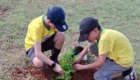 limpeza e plantio Parque da Raposa (16)
