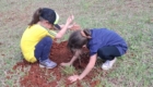 limpeza e plantio Parque da Raposa (2)