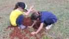 limpeza e plantio Parque da Raposa (5)