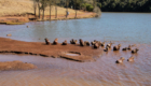 parque da raposa-18