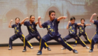 AME Festival de Artes Marciais033