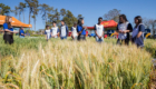 Abertura Expoagri-62