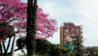 Arborização (7)