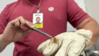 Escorpião001