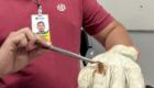 Escorpião002