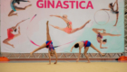 Ginastica Rítmica (37)