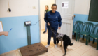 castração-28