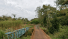 ponte barreiro