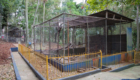 reforma bosque-31