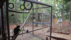 reforma bosque-34