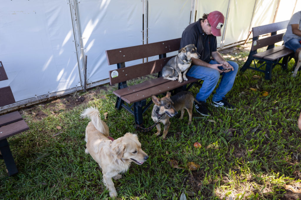 2026-01-21_castrapet_utfpr005