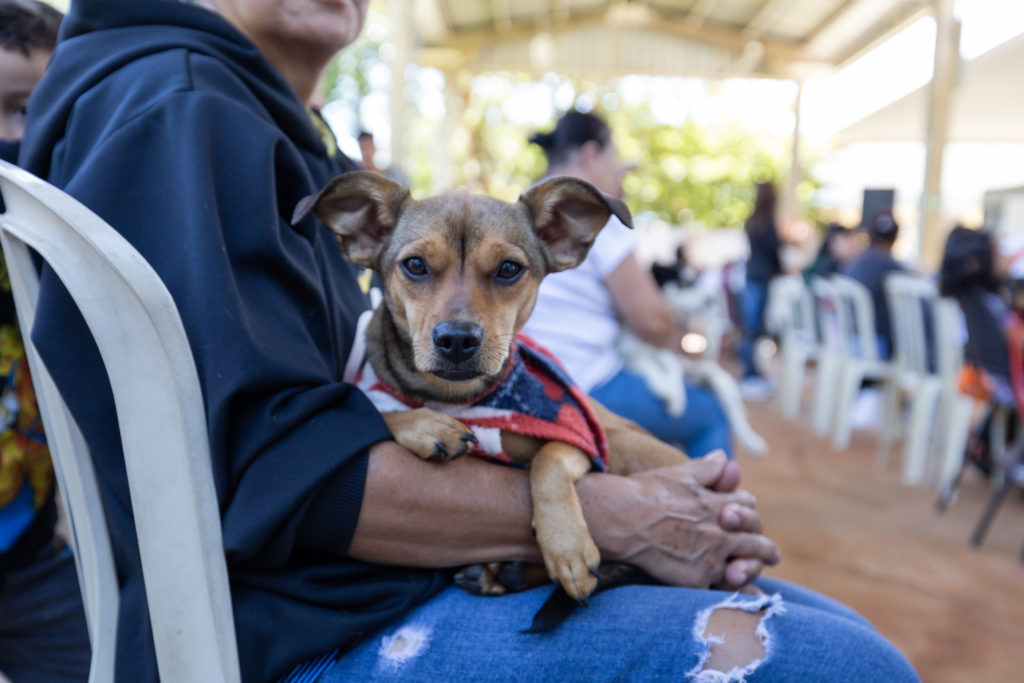 2026-01-21_castrapet_utfpr012