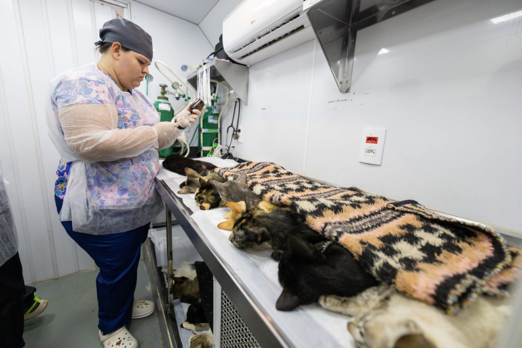 2026-01-21_castrapet_utfpr018