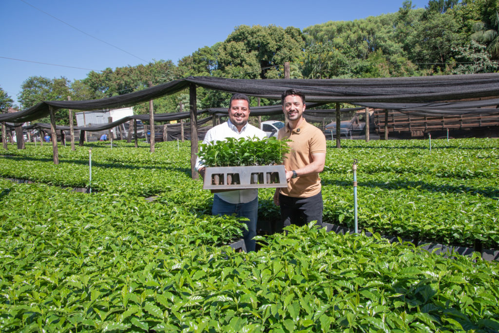 26-01-2026_mudas_de_cafe-23