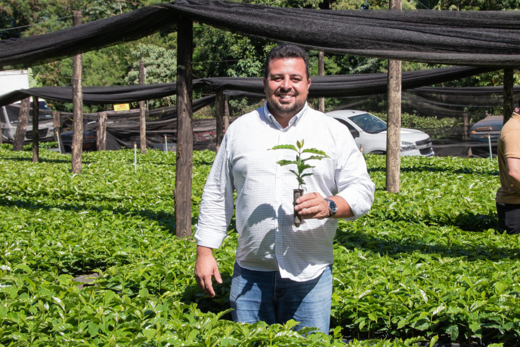 26-01-2026_mudas_de_cafe-27